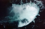7 D&iacute;as por Nueva York, Philadelphia, Washington, las Cataratas del Ni&aacute;gara (con traslados desde/hacia el aeropuerto) ** tres opciones en el segundo d&iacute;a **
